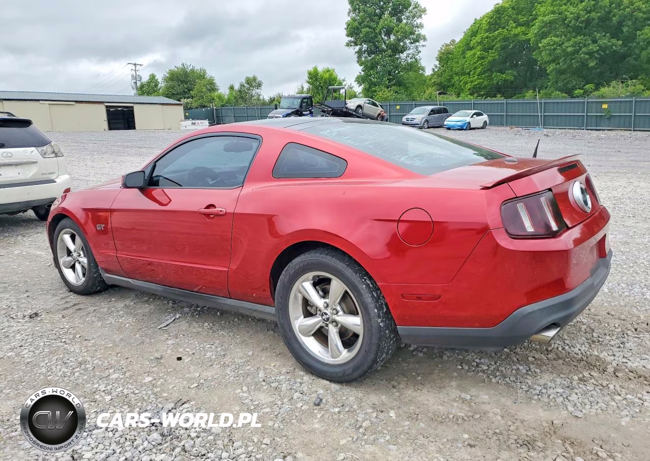 2010 Ford Mustang Gt VIN:1ZVBP8CH5A5135822 - 2