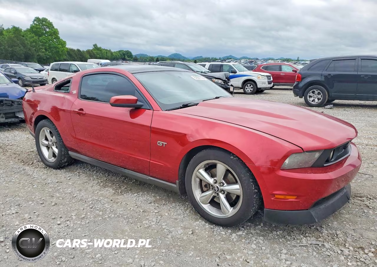 2010 Ford Mustang Gt VIN:1ZVBP8CH5A5135822 - 4