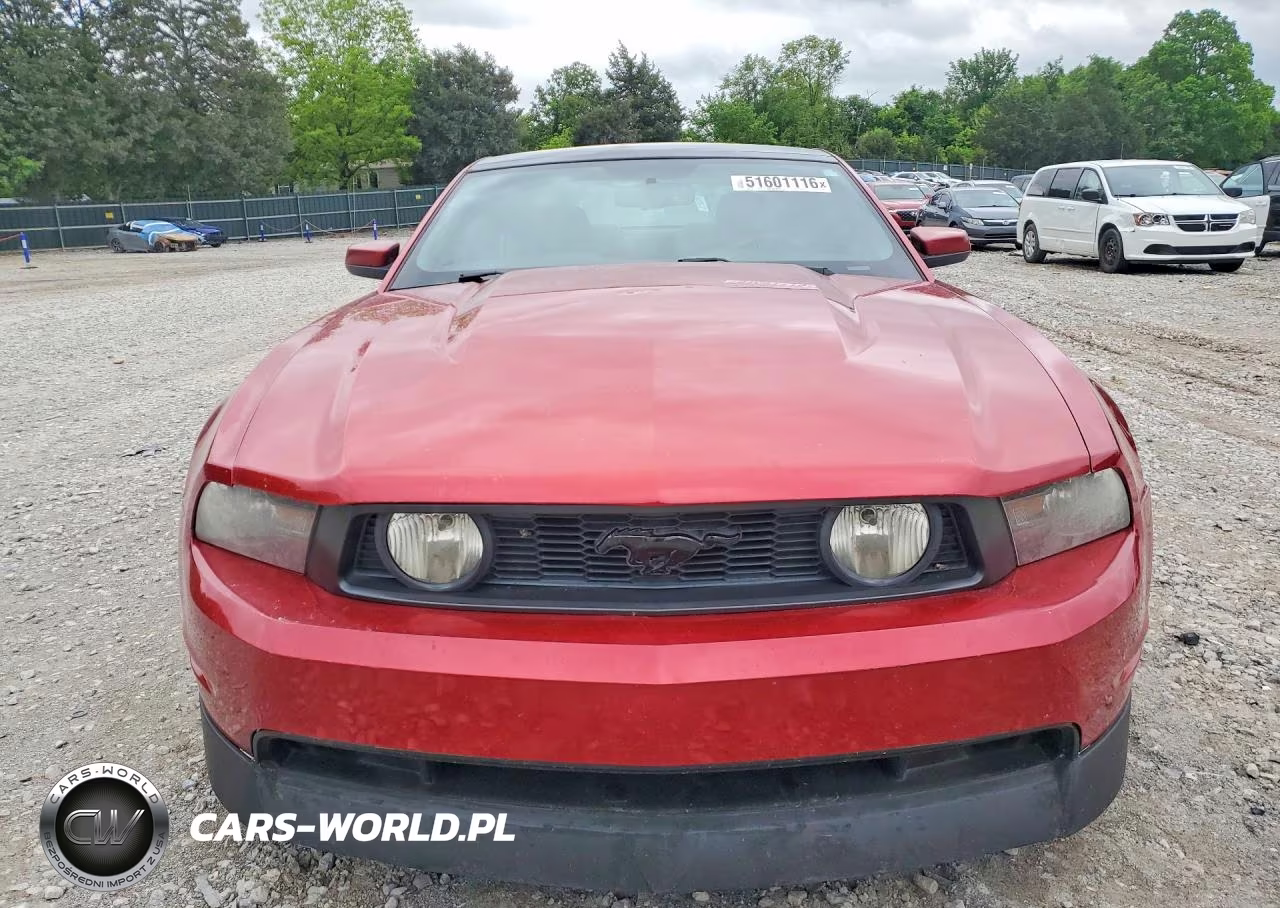 2010 Ford Mustang Gt VIN:1ZVBP8CH5A5135822 - 5