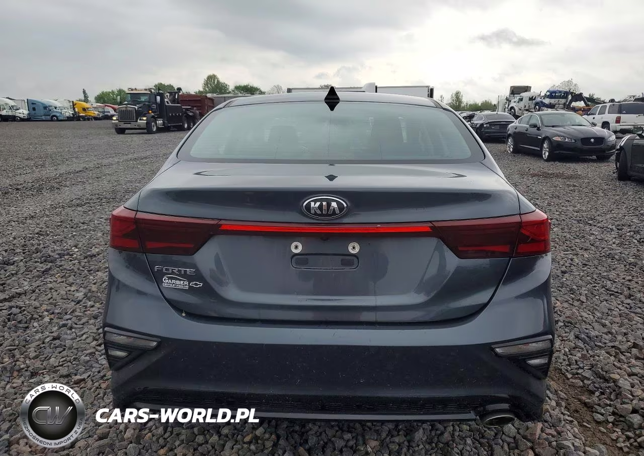 2020 Kia Forte Lxs VIN:3KPF24ADXLE158645 - 6