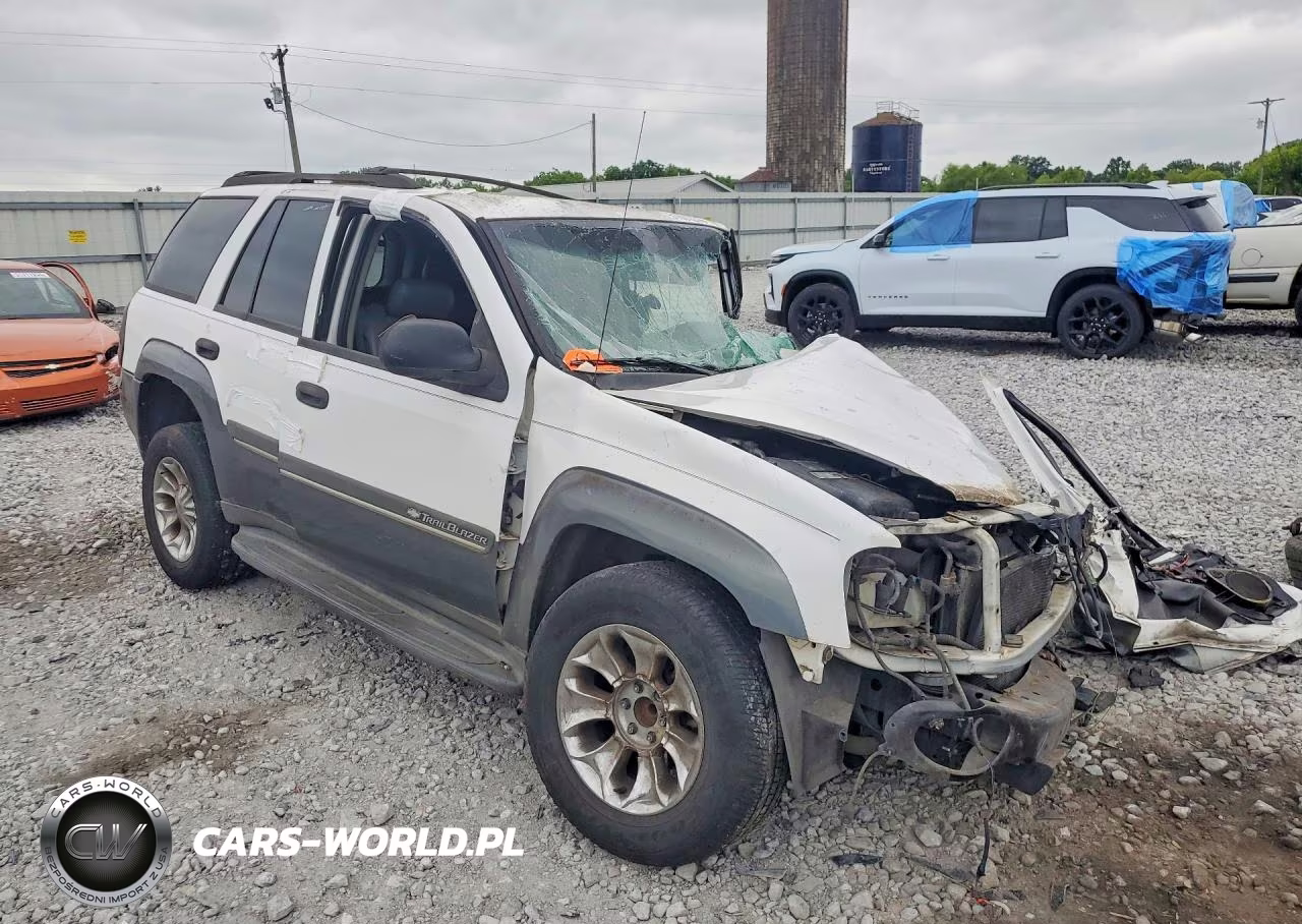 2002 Chevrolet Trailblazer VIN:1GNDS13S522123239 - 4