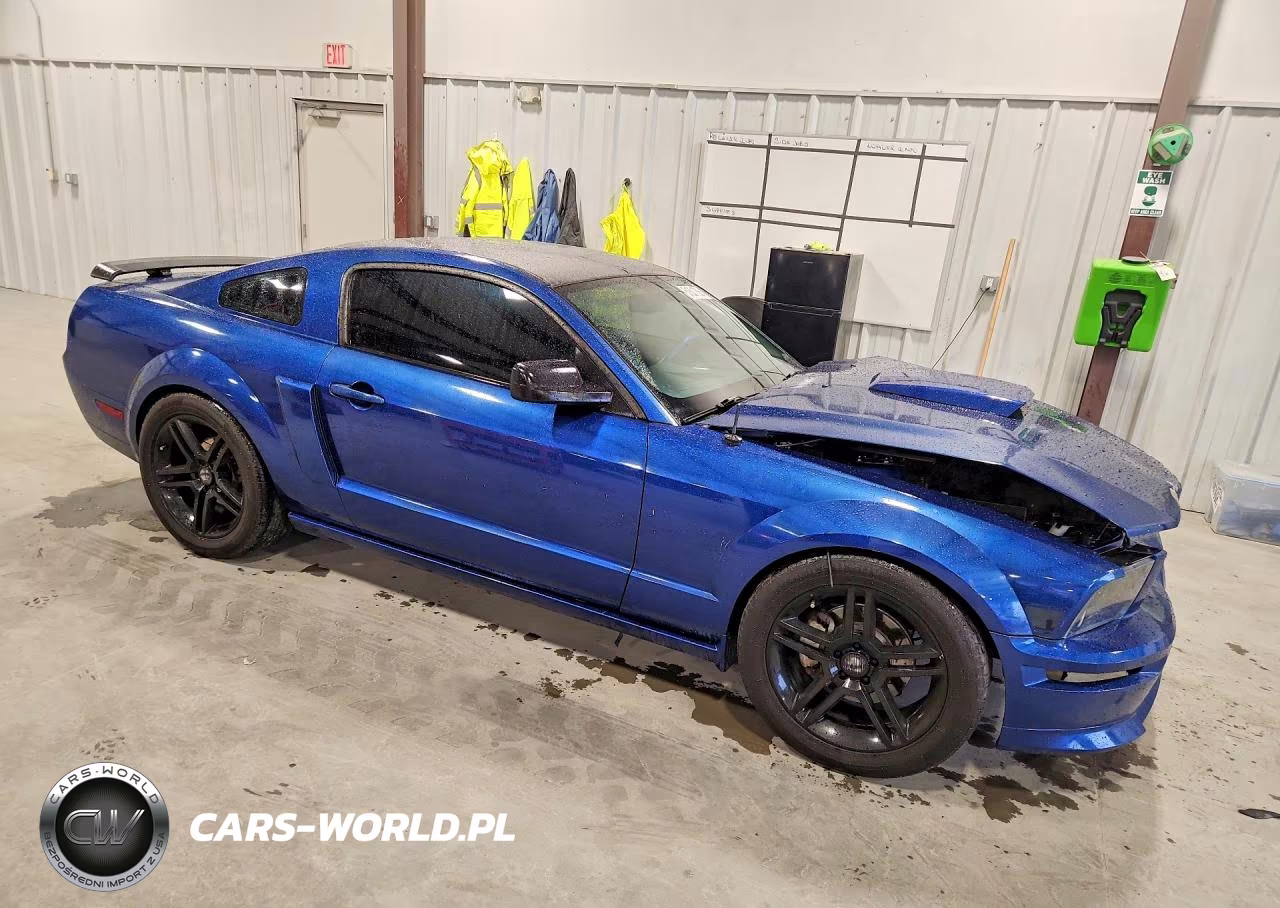 2007 Ford Mustang Gt VIN:1ZVFT82H175206649 - 4