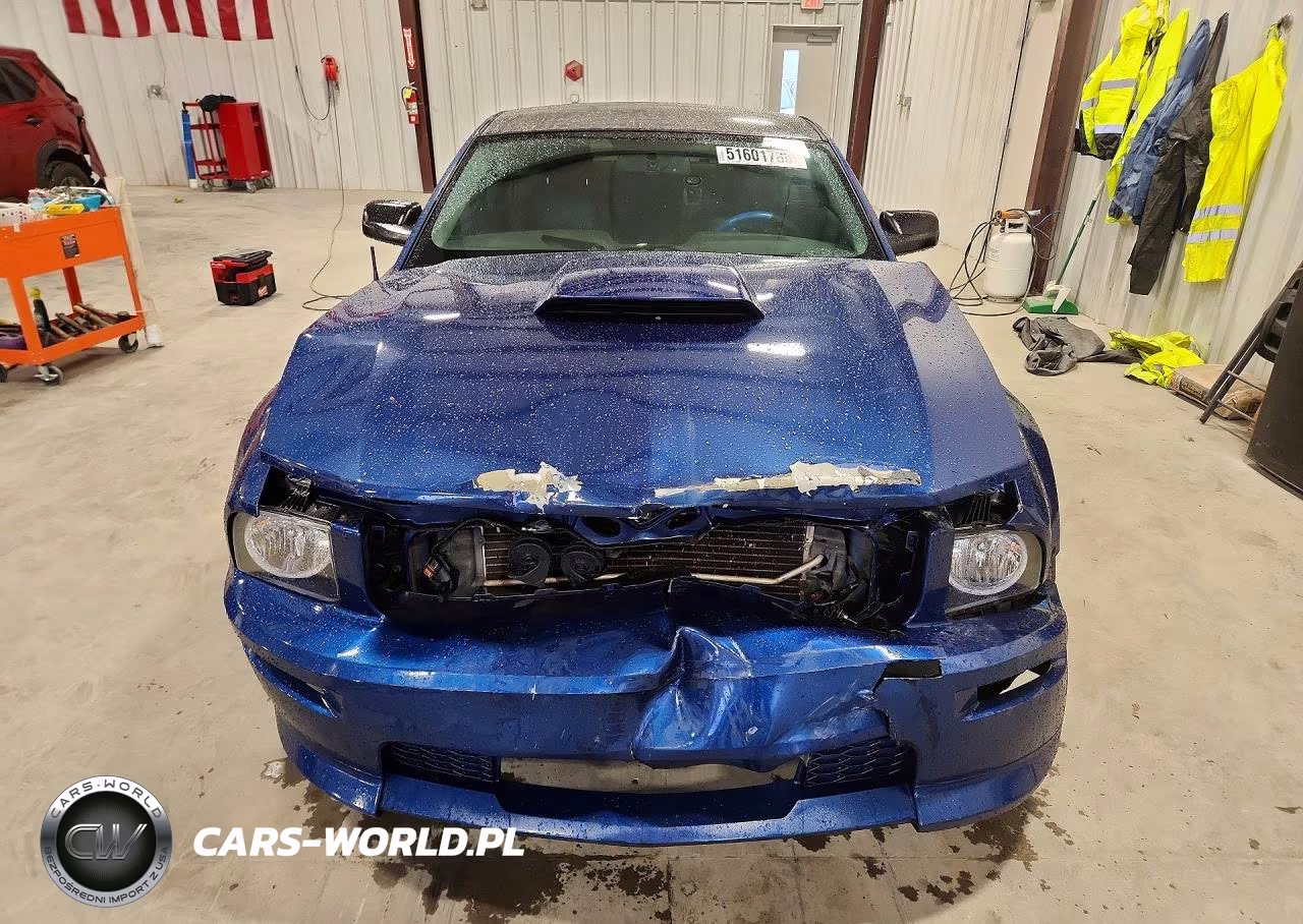 2007 Ford Mustang Gt VIN:1ZVFT82H175206649 - 5