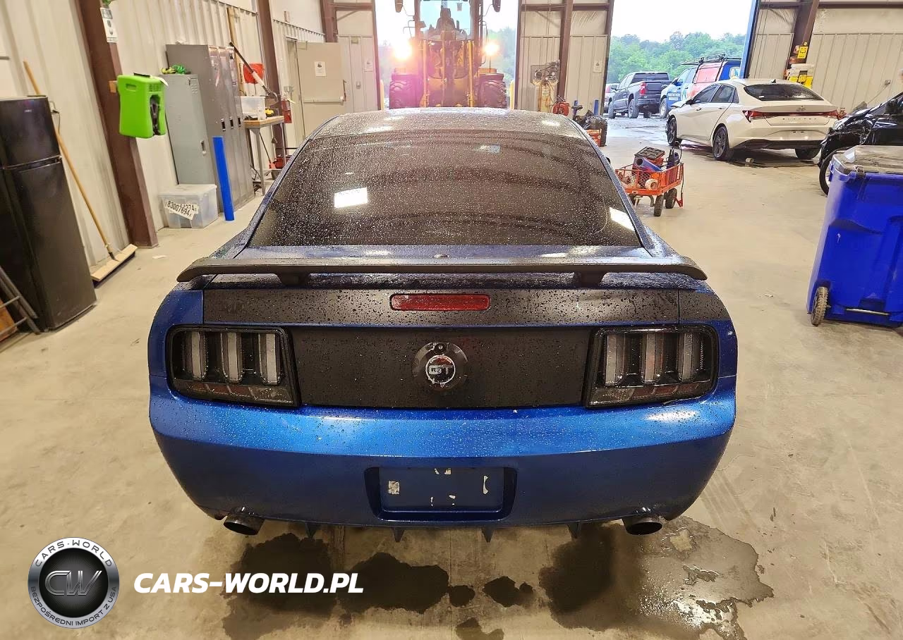 2007 Ford Mustang Gt VIN:1ZVFT82H175206649 - 6
