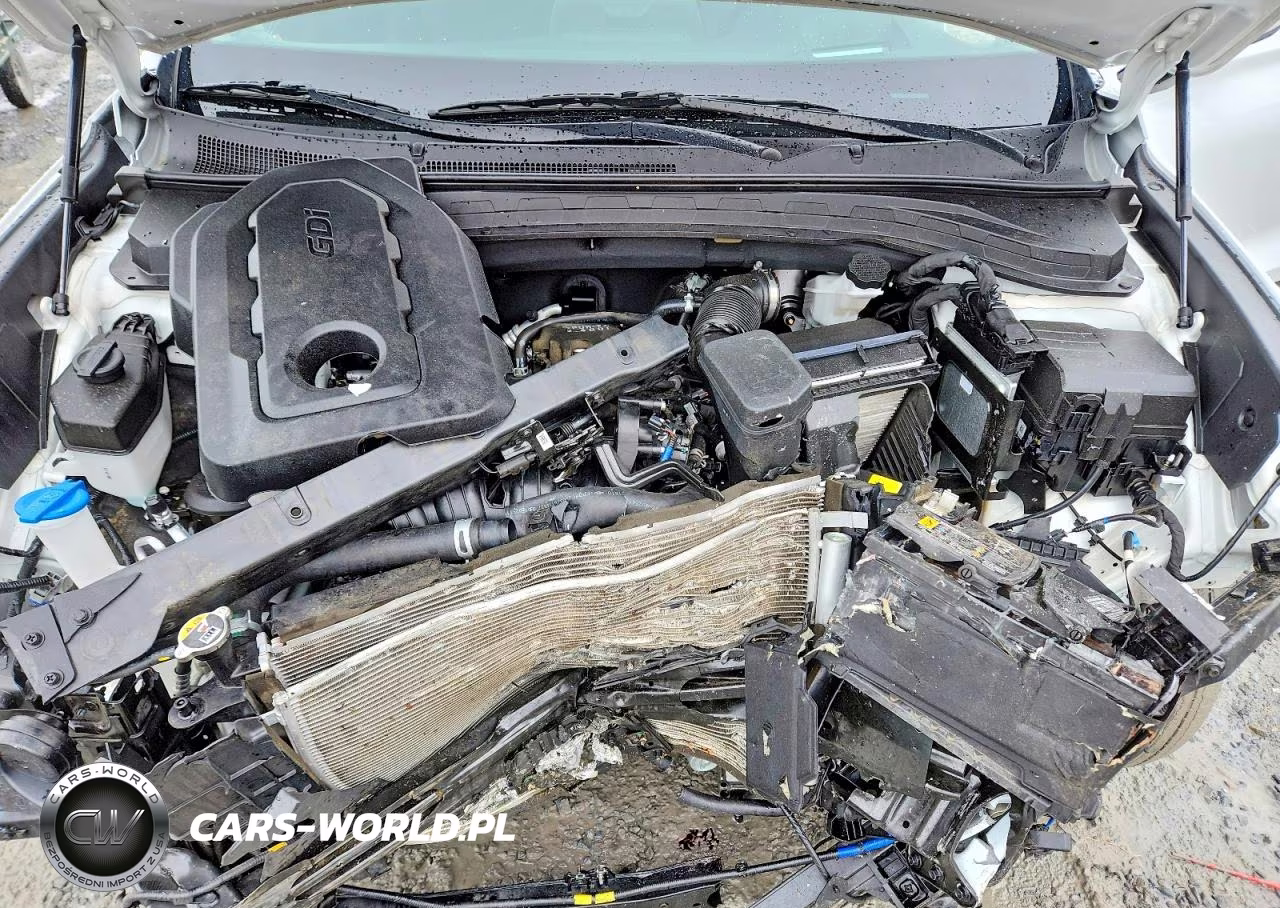 2020 Hyundai Santa Fe Limited VIN:5NMS53AD6LH281092 - 12