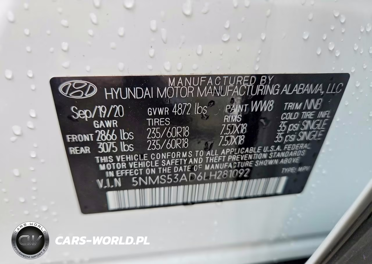 2020 Hyundai Santa Fe Limited VIN:5NMS53AD6LH281092 - 13