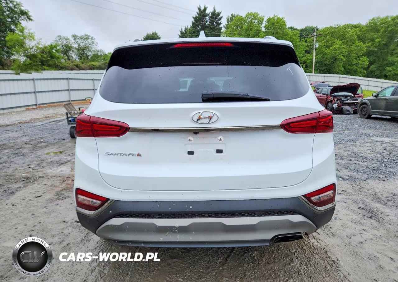 2020 Hyundai Santa Fe Limited VIN:5NMS53AD6LH281092 - 6