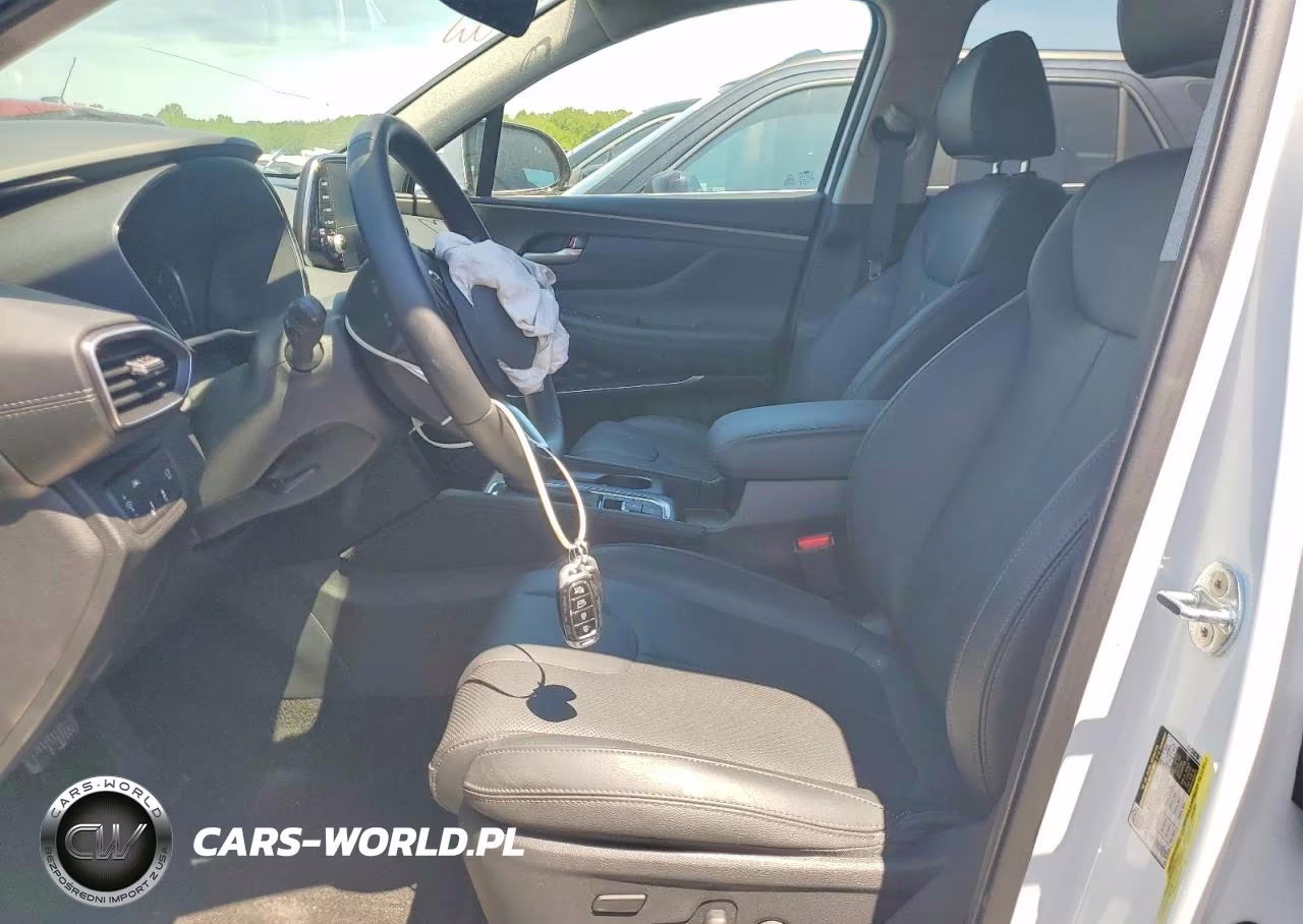 2020 Hyundai Santa Fe Limited VIN:5NMS53AD6LH281092 - 7