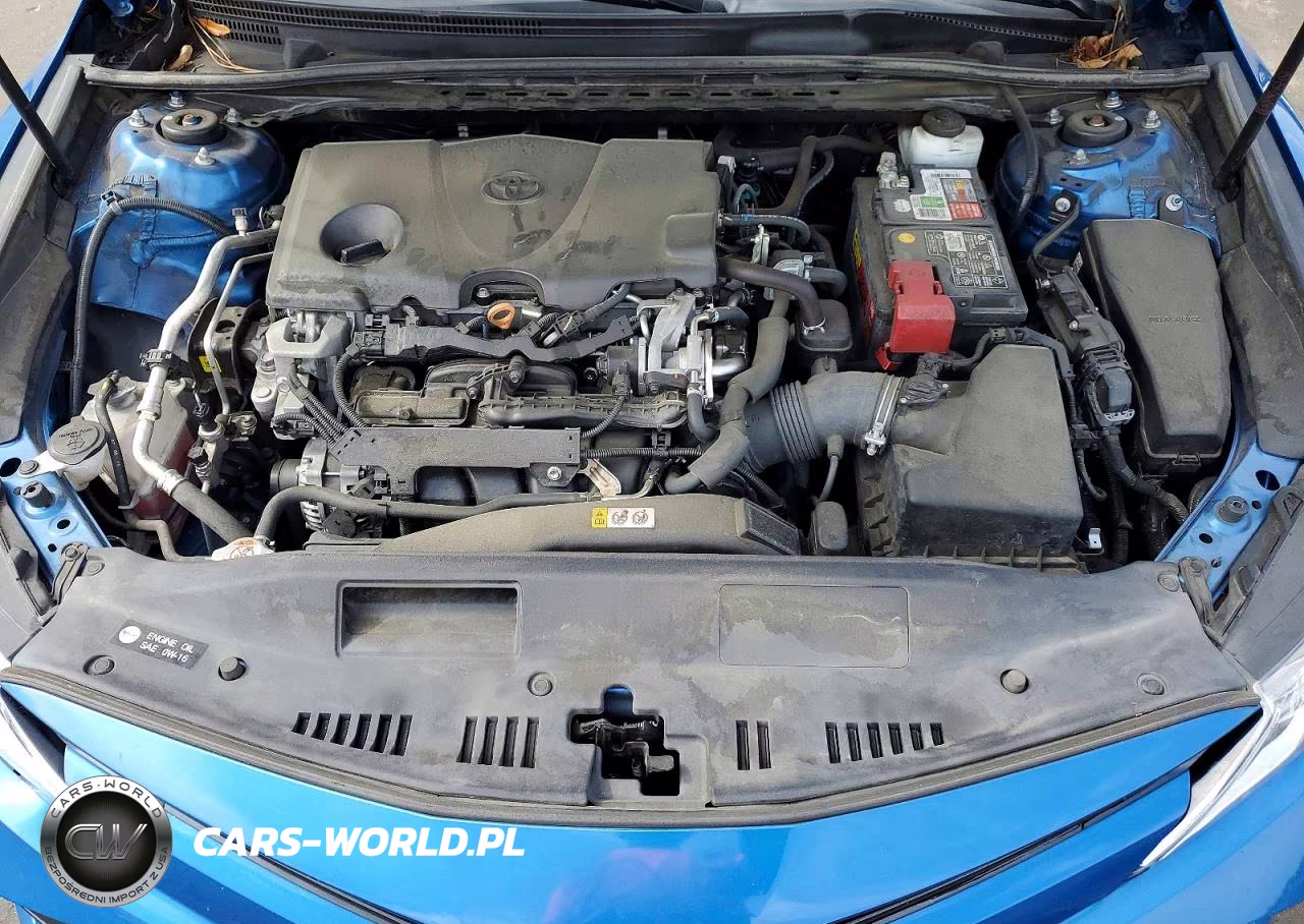 2019 Toyota Camry Le VIN:4T1B11HK9KU219970 - 11