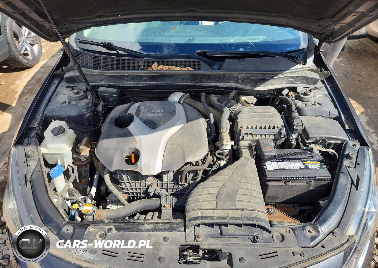 2011 Kia Optima Ex Turbo VIN:KNAGN4A69B5143882 - 11