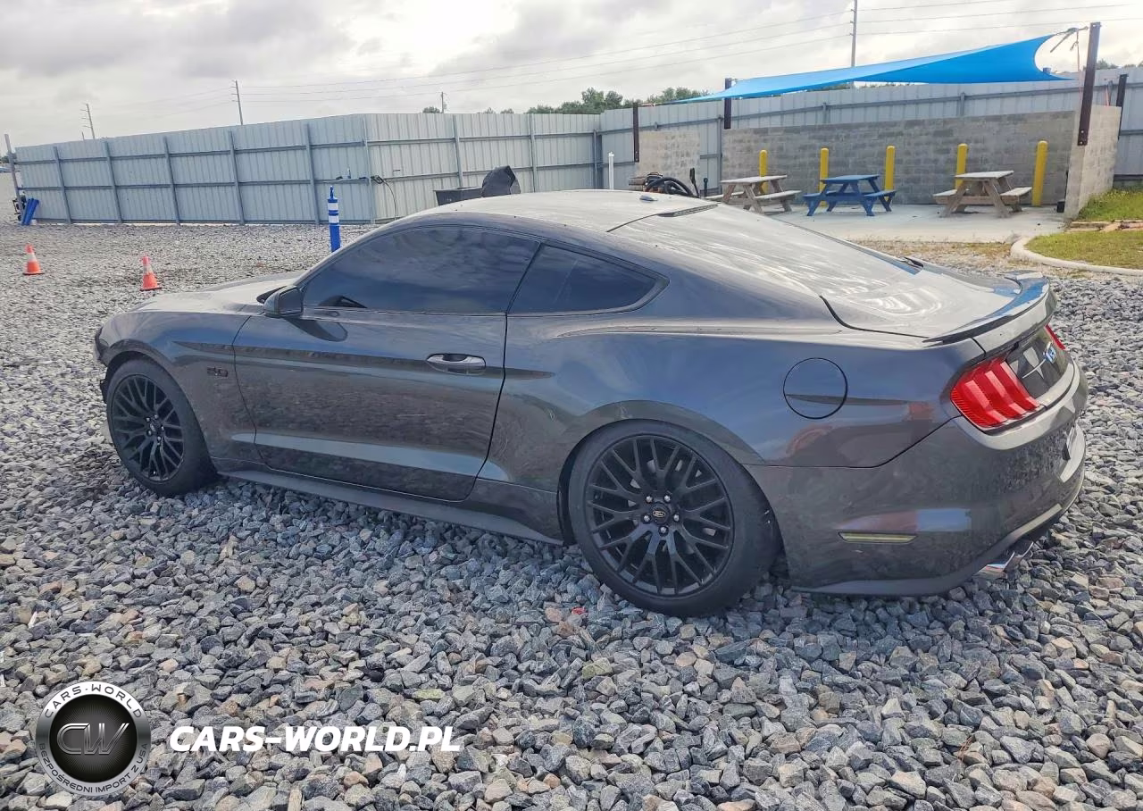 2019 Ford Mustang Gt Premium VIN:1FA6P8CF7K5101794 - 2