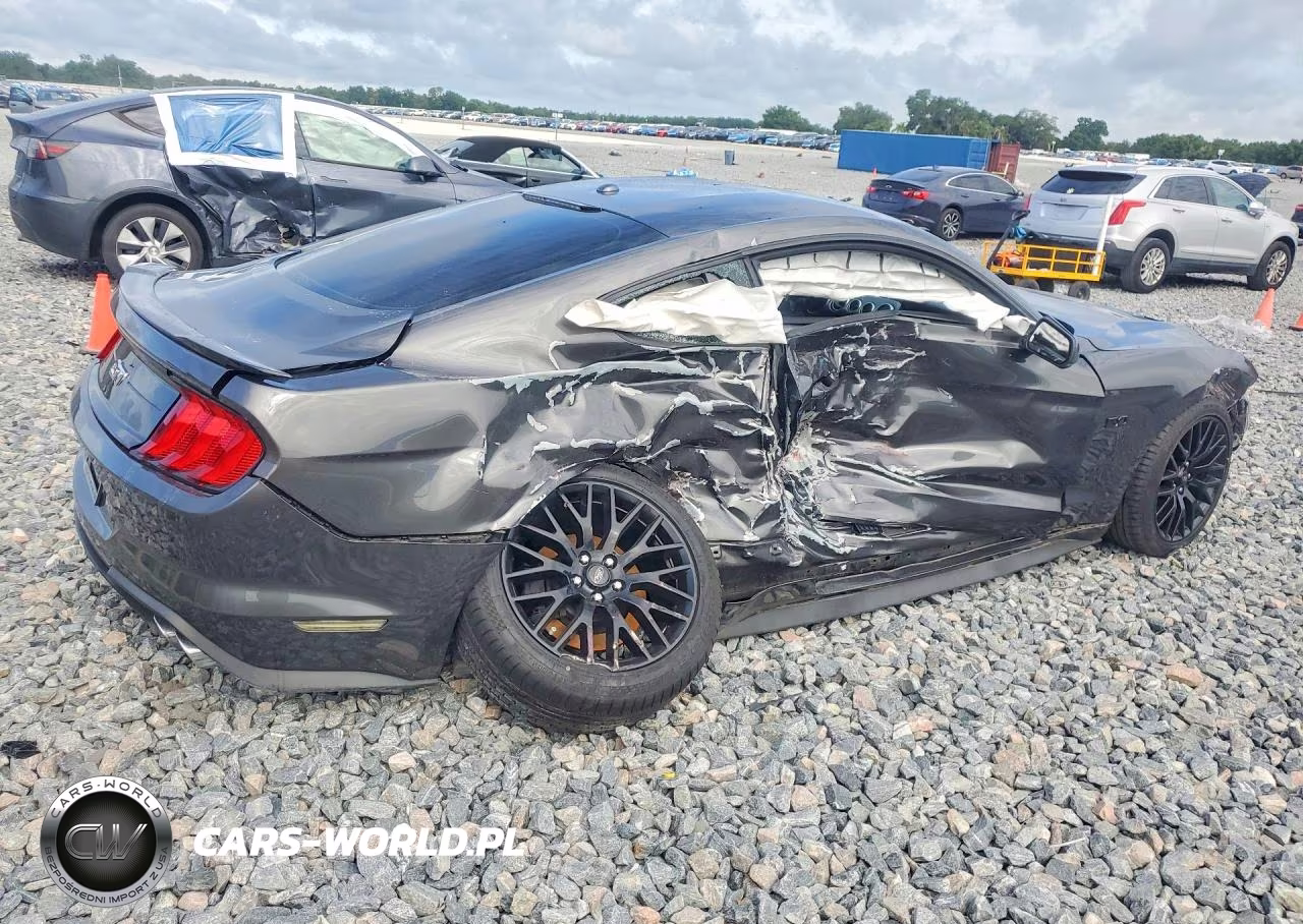 2019 Ford Mustang Gt Premium VIN:1FA6P8CF7K5101794 - 3