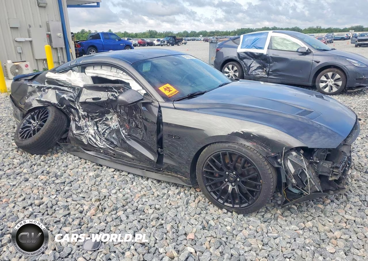 2019 Ford Mustang Gt Premium VIN:1FA6P8CF7K5101794 - 4