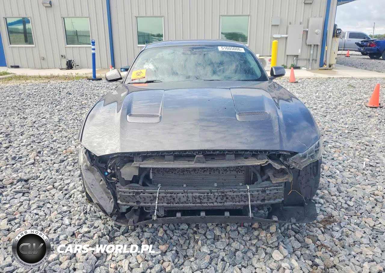 2019 Ford Mustang Gt Premium VIN:1FA6P8CF7K5101794 - 5