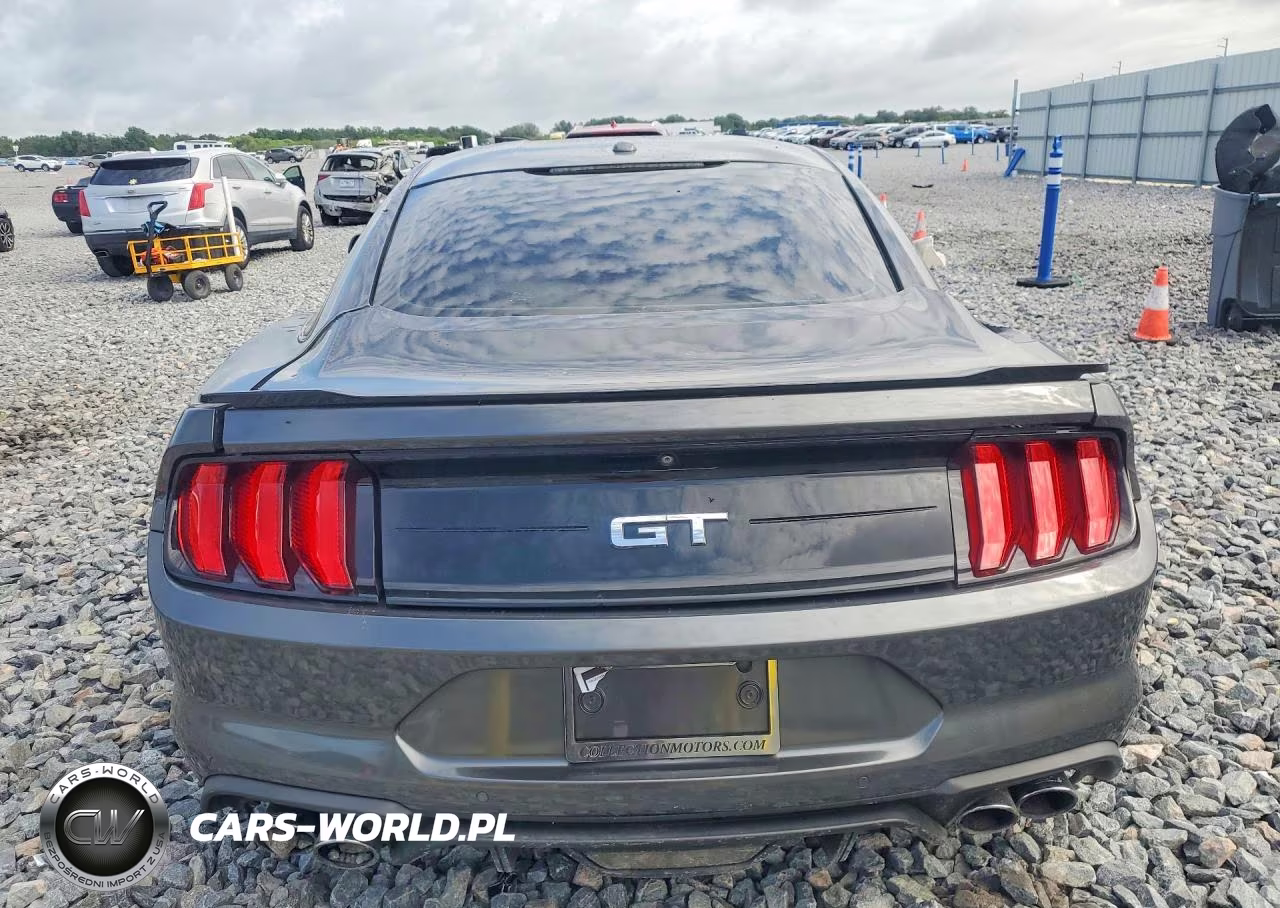2019 Ford Mustang Gt Premium VIN:1FA6P8CF7K5101794 - 6