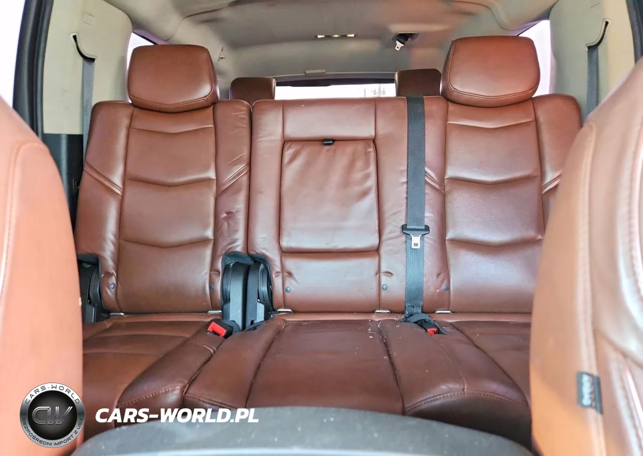 2020 Cadillac Escalade Esv Premium Luxury VIN:1GYS4JKJ0LR105088 - 10
