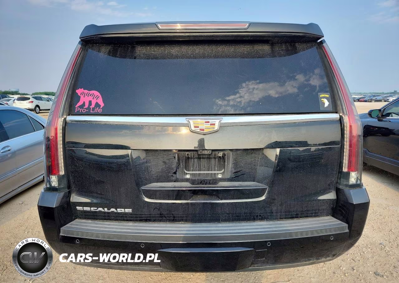 2020 Cadillac Escalade Esv Premium Luxury VIN:1GYS4JKJ0LR105088 - 6