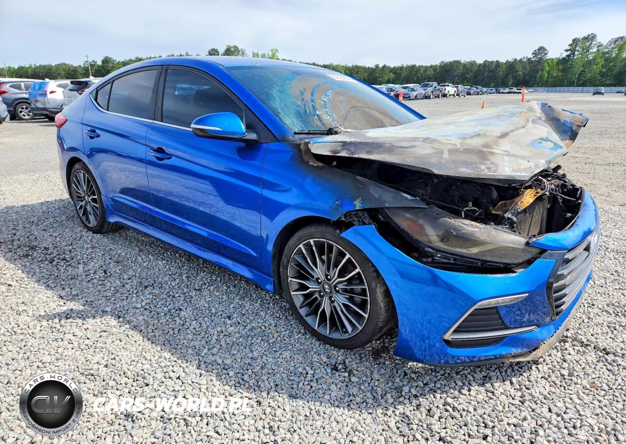 2017 Hyundai Elantra Sport VIN:KMHD04LB1HU366510 - 4