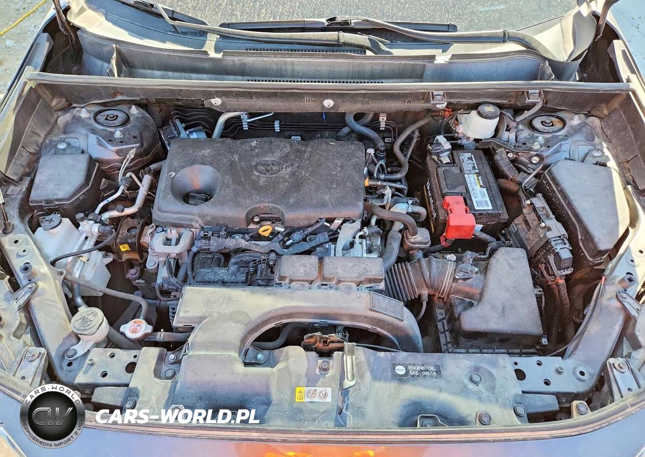2021 Toyota Rav4 Xle VIN:2T3P1RFV4MW200951 - 12