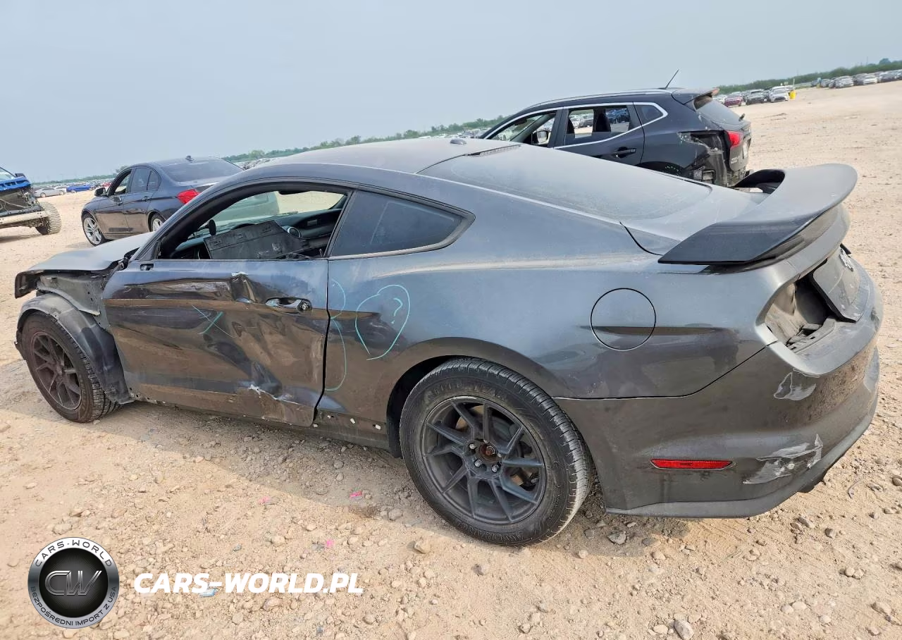 2019 Ford Mustang VIN:1FA6P8TH5K5181176 - 2
