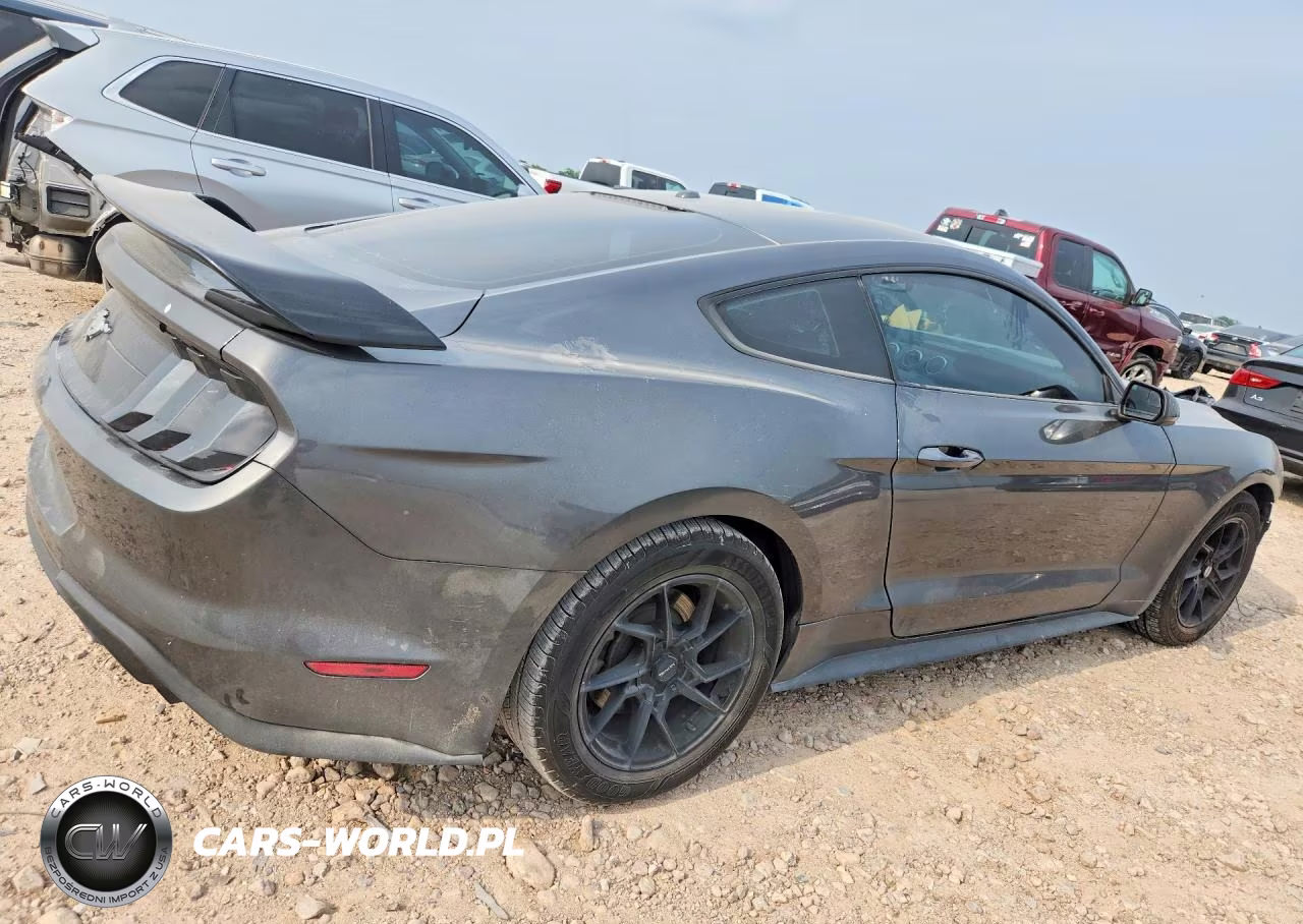 2019 Ford Mustang VIN:1FA6P8TH5K5181176 - 3