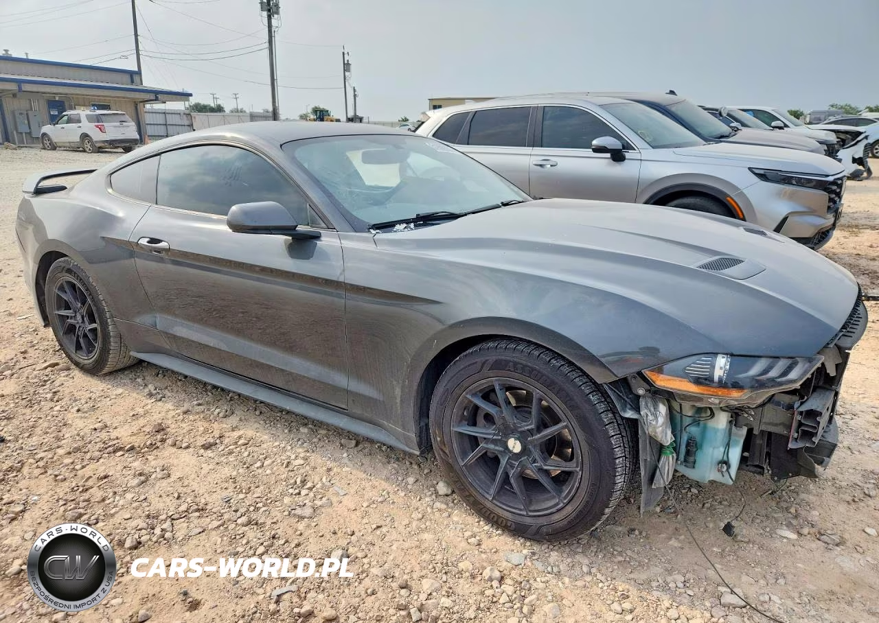 2019 Ford Mustang VIN:1FA6P8TH5K5181176 - 4