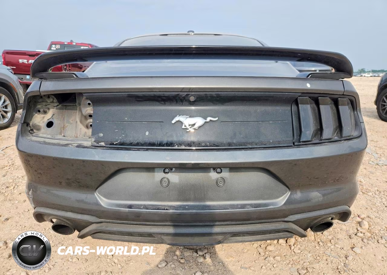 2019 Ford Mustang VIN:1FA6P8TH5K5181176 - 6