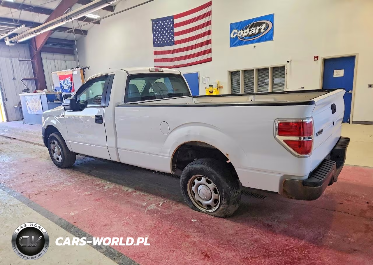2013 Ford F150 VIN:1FTNF1CF8DKD46107 - 2
