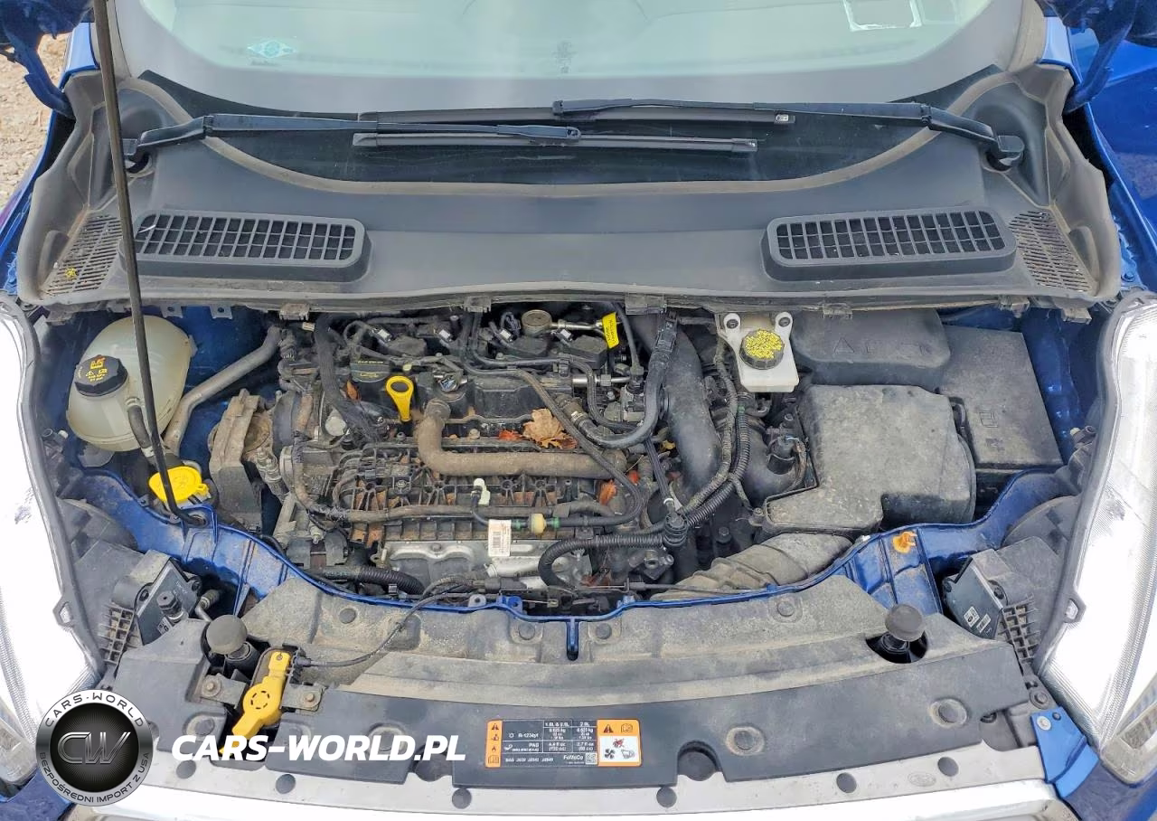 2019 Ford Escape Sel VIN:1FMCU9HDXKUA57925 - 12