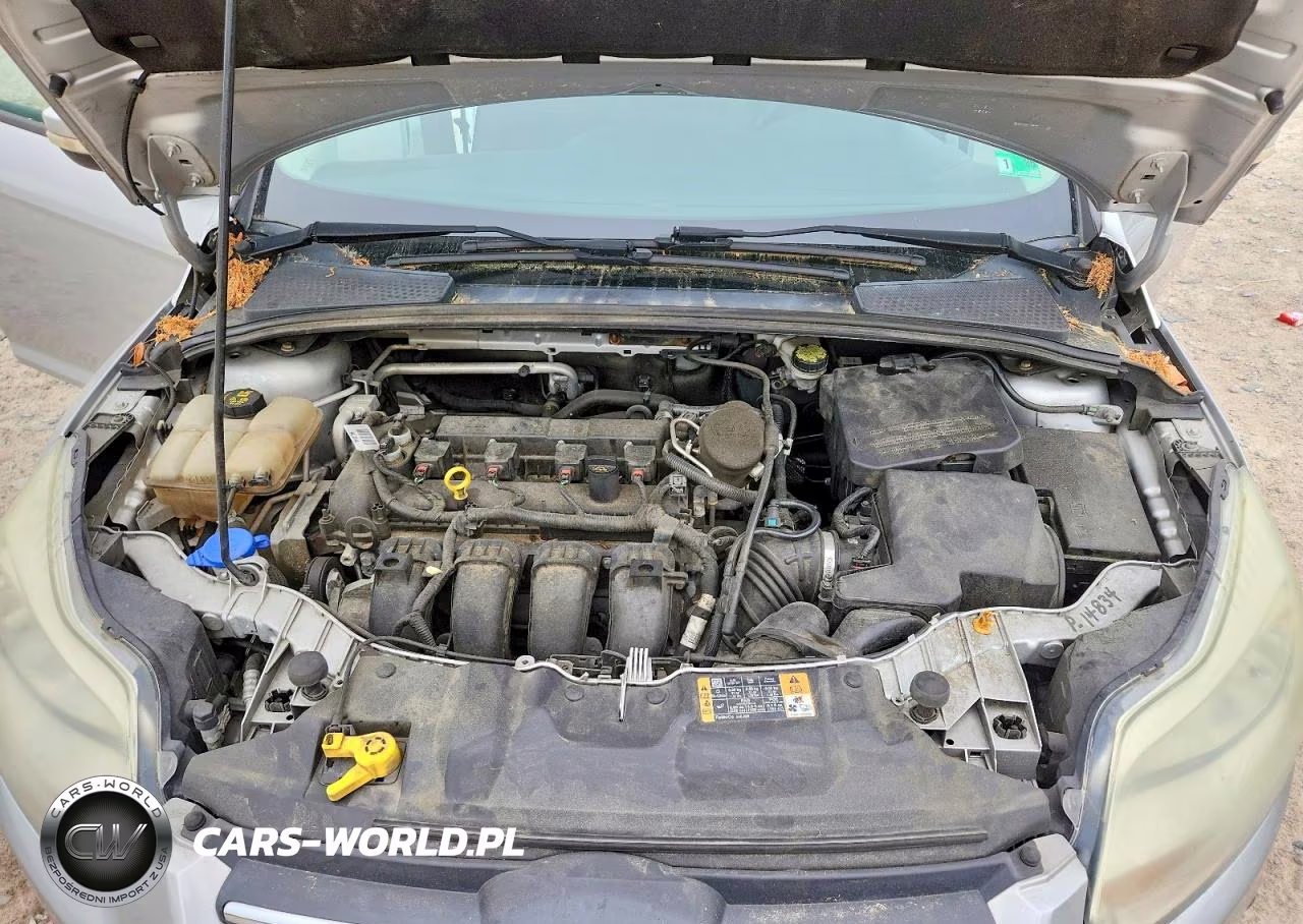 2014 Ford Focus Se VIN:1FADP3F29EL414686 - 11