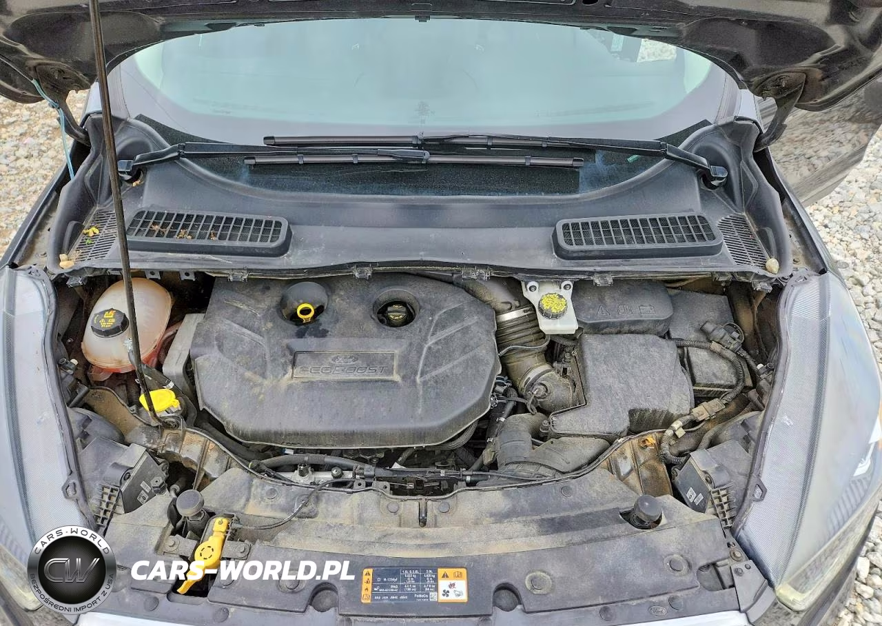 2019 Ford Escape Titanium VIN:1FMCU9J98KUC39225 - 12