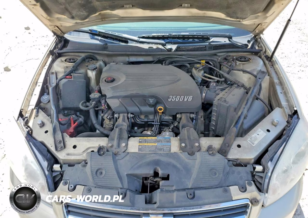 2009 Chev Impala VIN:2G1WT57K591100868 - 11