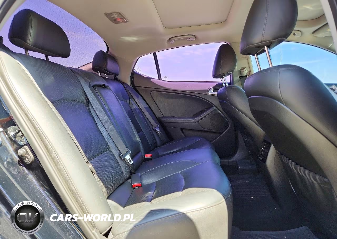 2015 Kia Optima Ex VIN:5XXGN4A74FG482630 - 10