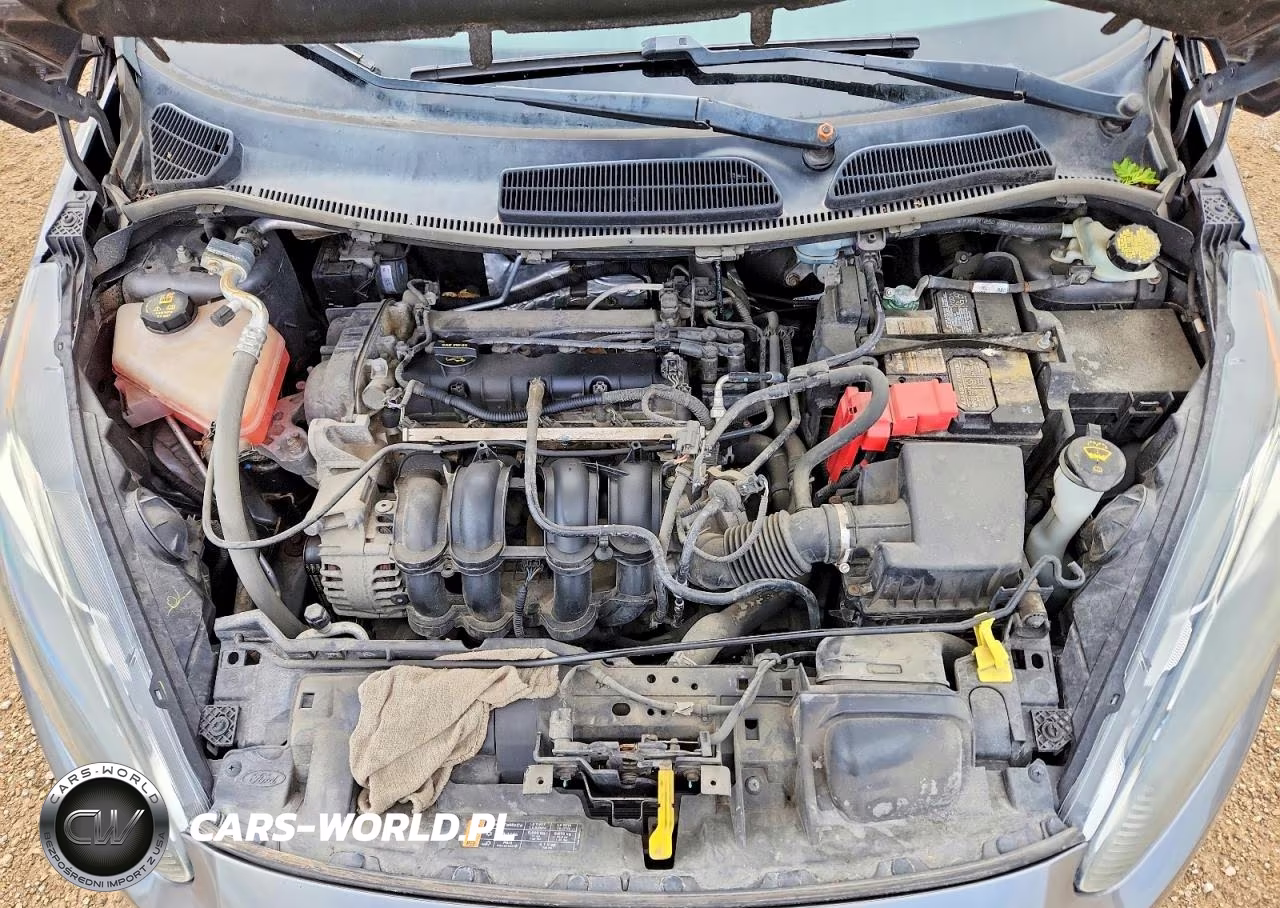 2014 Ford Fiesta Se VIN:3FADP4BJ8EM234939 - 11