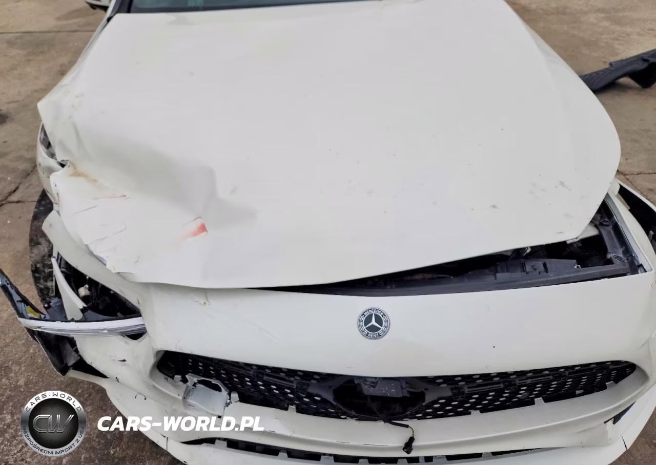 2019 Mercedes-Benz Cls 450 VIN:WDD2J5JB3KA028509 - 11
