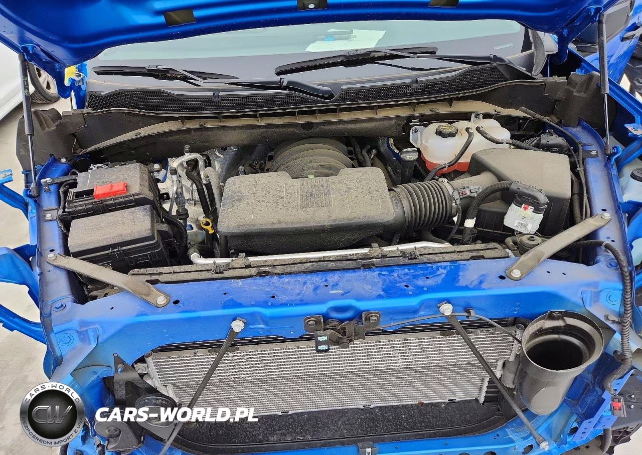 2025 Chevrolet Silverado K1500 Lt Trail Boss VIN:3GCUKFEDXSG296315 - 11