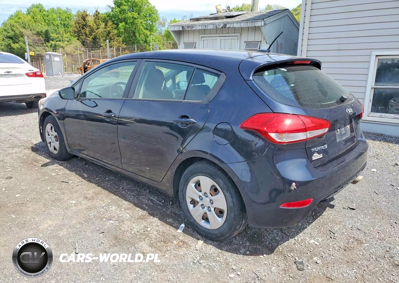2017 Kia Forte Lx VIN:KNAFK5A89H5691403 - 2