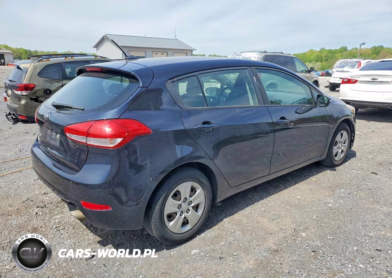2017 Kia Forte Lx VIN:KNAFK5A89H5691403 - 3