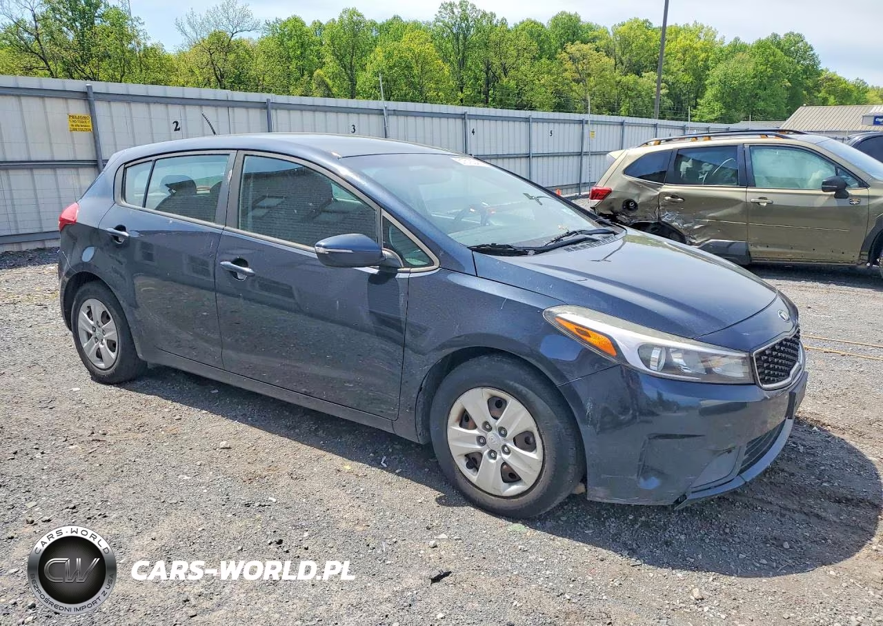 2017 Kia Forte Lx VIN:KNAFK5A89H5691403 - 4