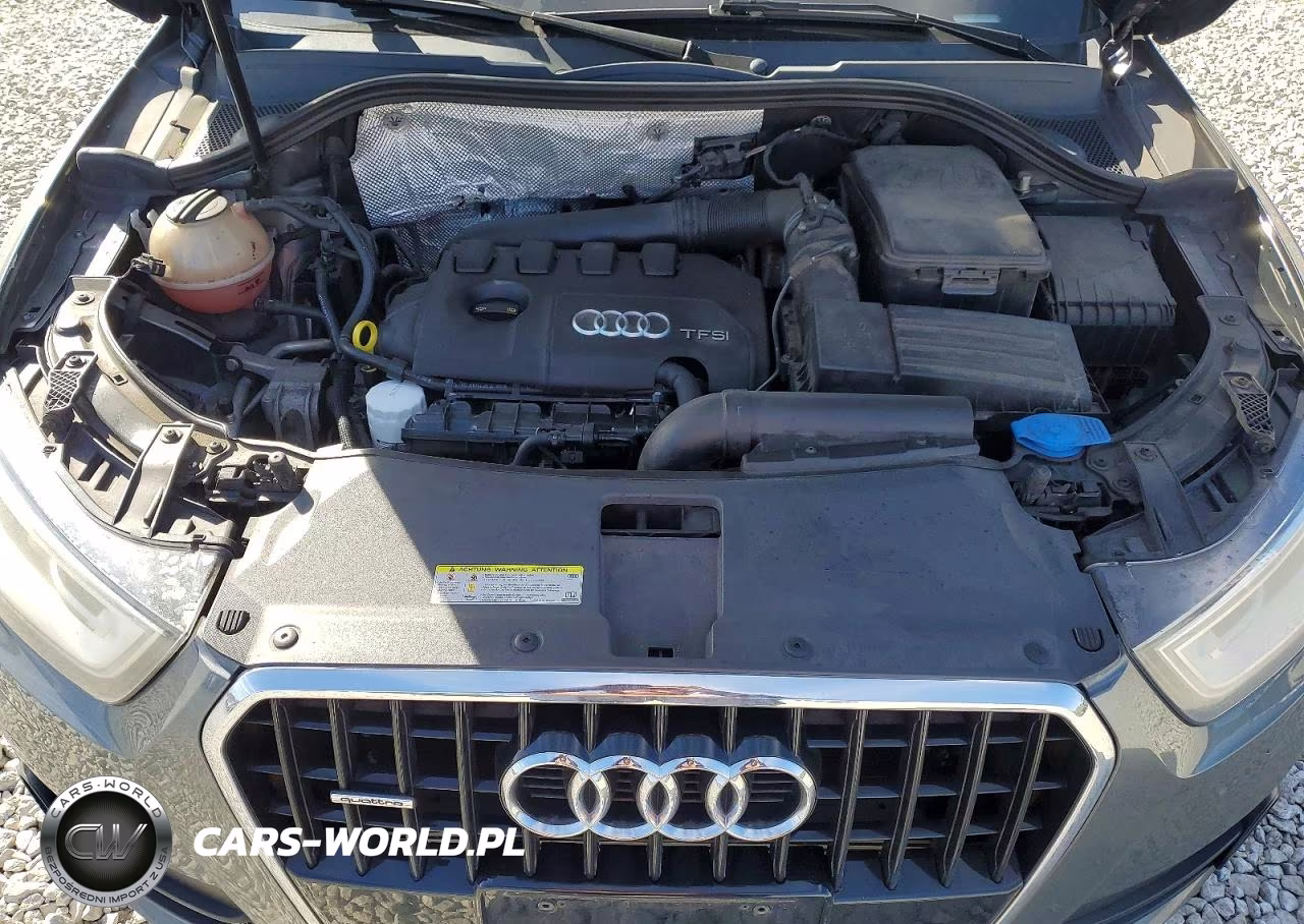 2015 Audi Q3 Premium Plus VIN:WA1EFCFS6FR013039 - 11