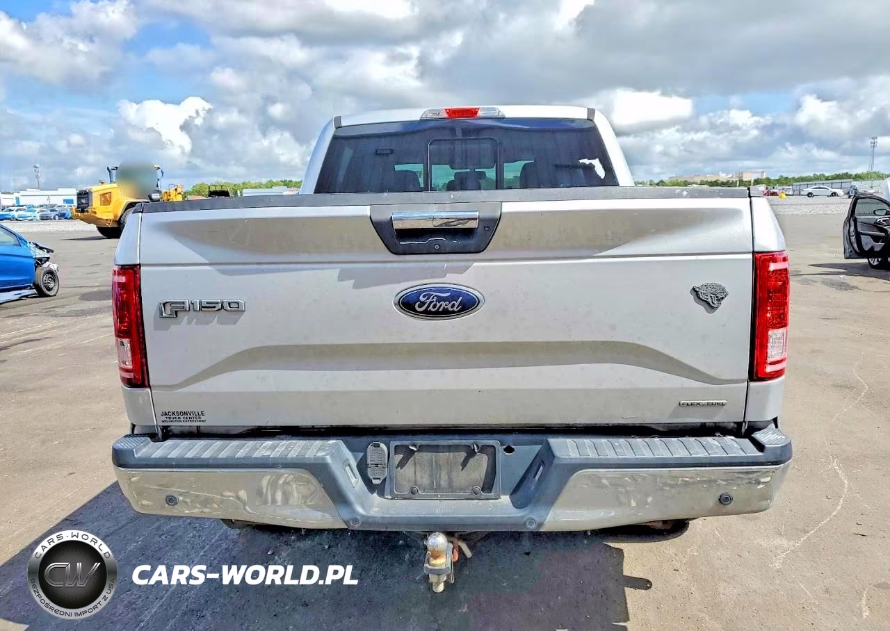 2016 Ford F150 Supercrew VIN:1FTEW1C88GKD47148 - 6