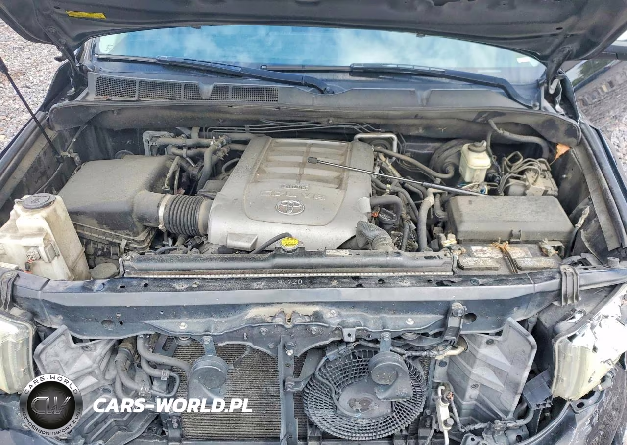 2010 Toyota Sequoia Platinum VIN:5TDDW5G15AS034526 - 12