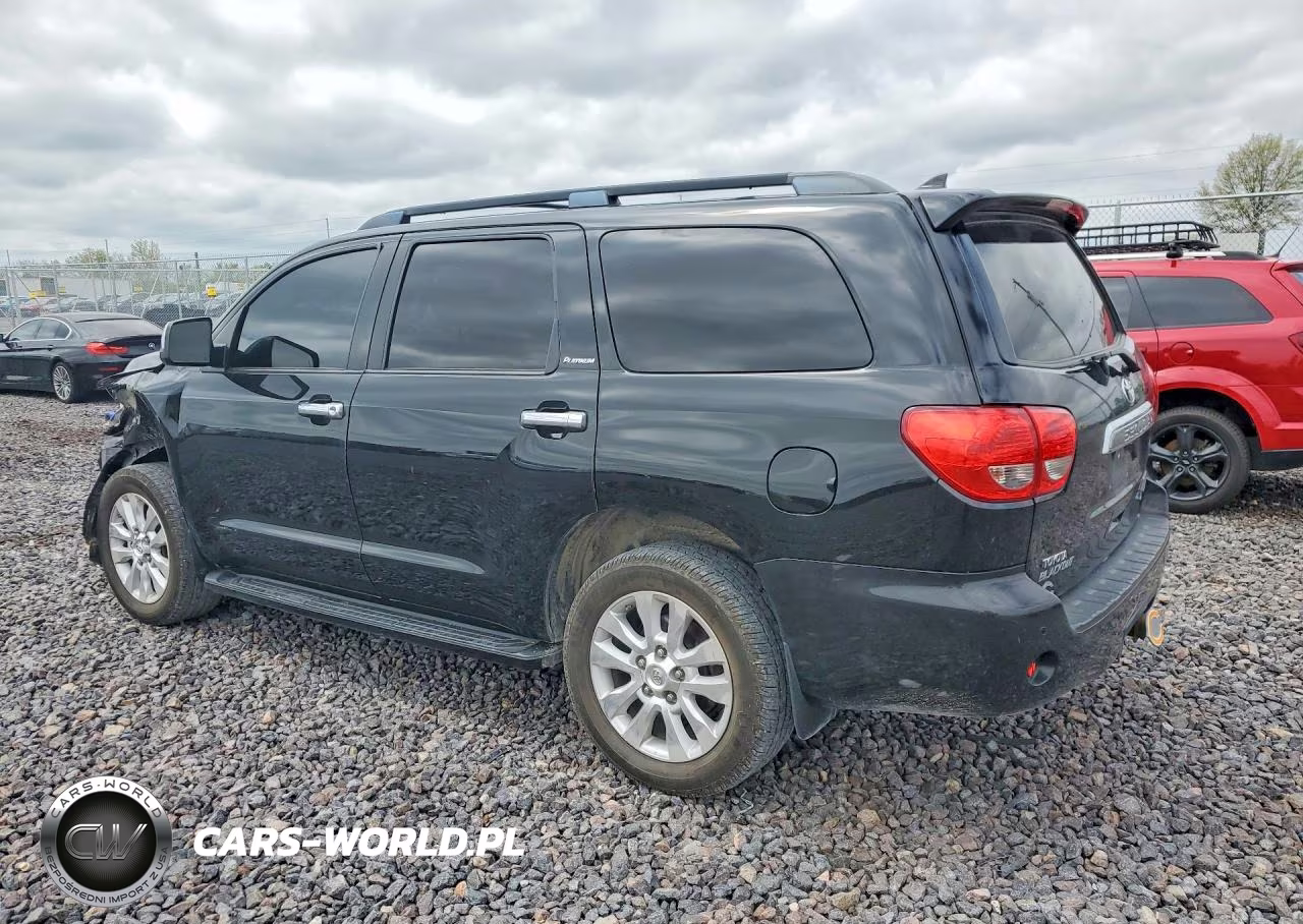 2010 Toyota Sequoia Platinum VIN:5TDDW5G15AS034526 - 2