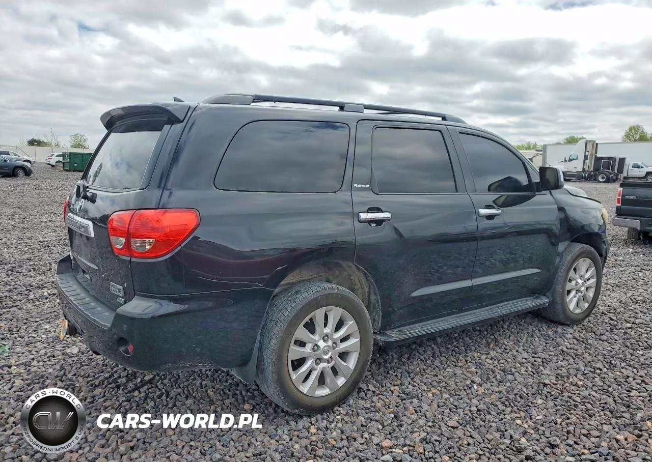 2010 Toyota Sequoia Platinum VIN:5TDDW5G15AS034526 - 3