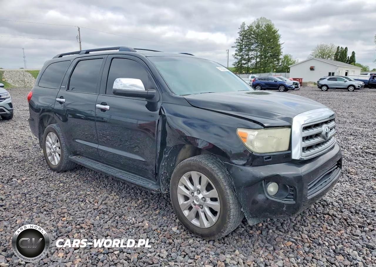 2010 Toyota Sequoia Platinum VIN:5TDDW5G15AS034526 - 4