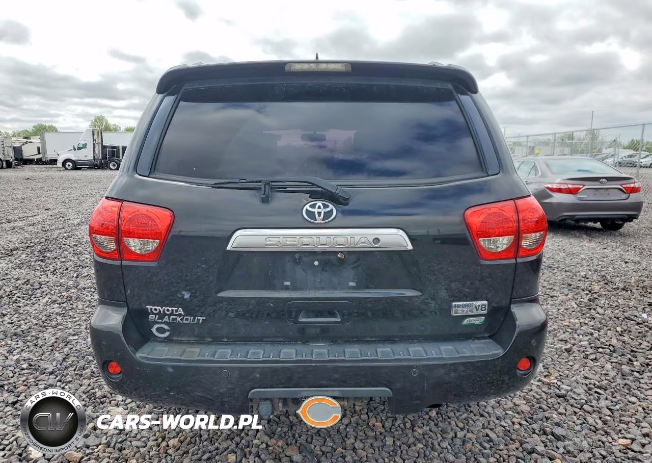 2010 Toyota Sequoia Platinum VIN:5TDDW5G15AS034526 - 6