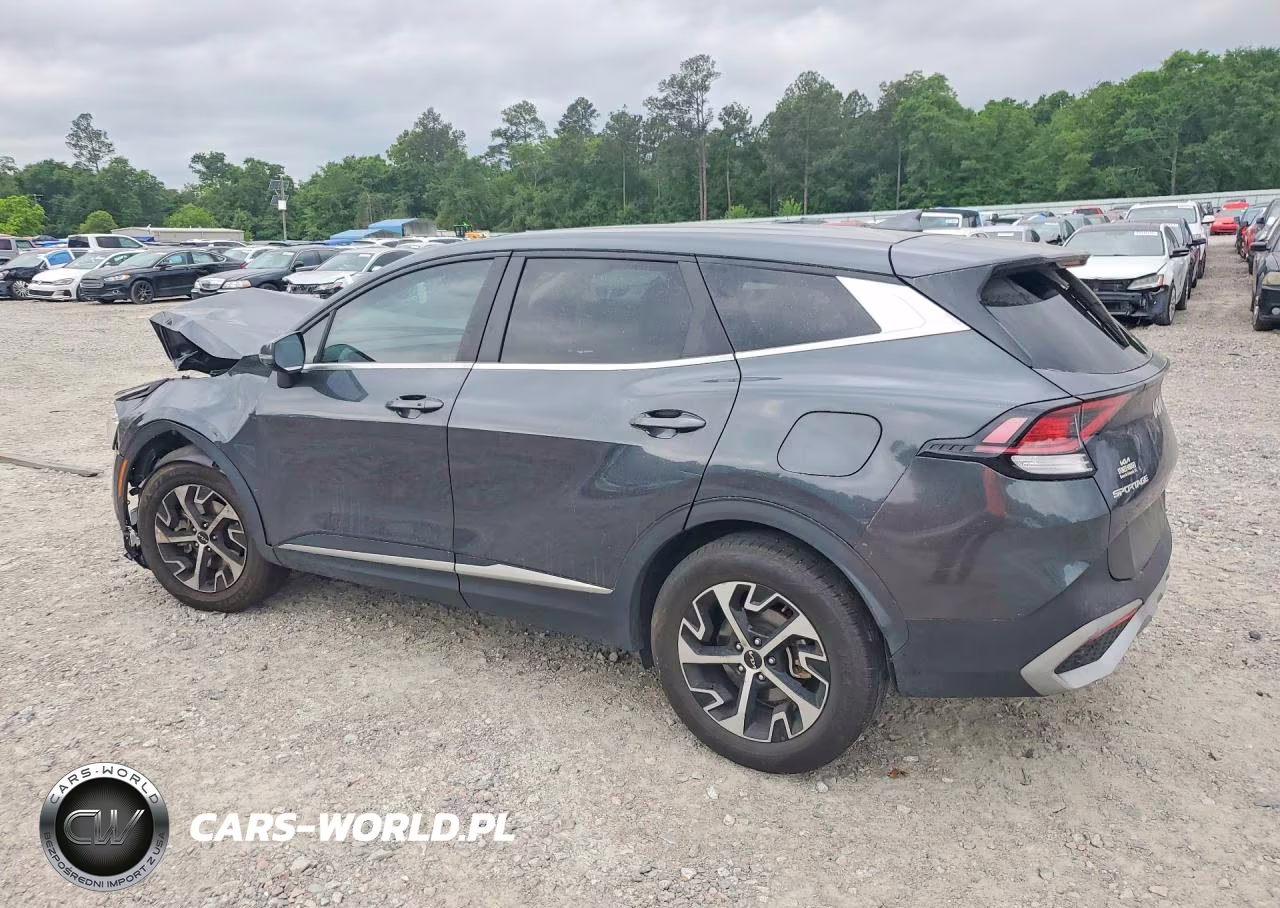 2023 Kia Sportage Ex VIN:5XYK33AFXPG124852 - 2