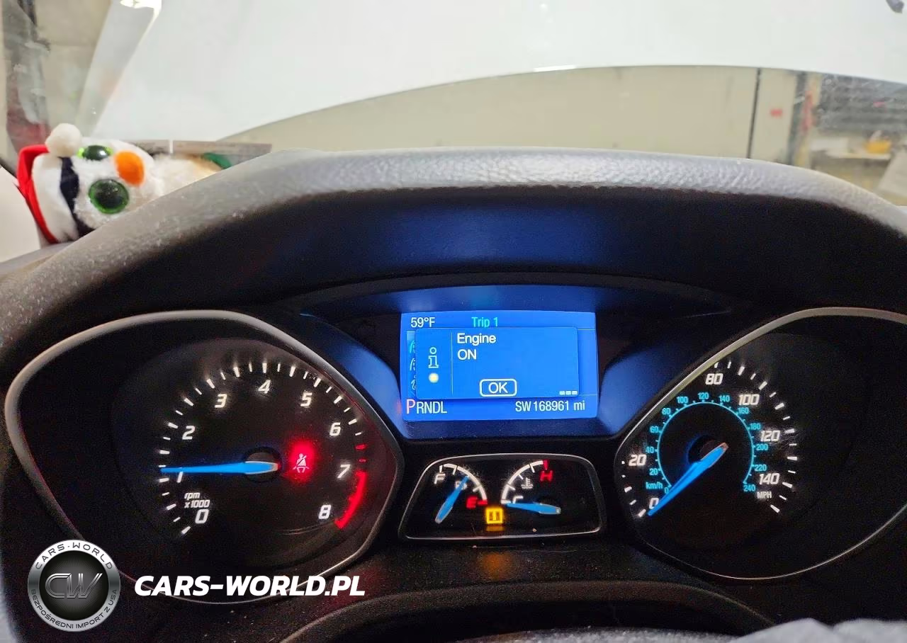 2014 Ford Focus Se VIN:1FADP3K28EL262437 - 9