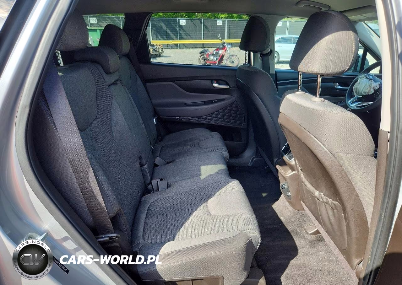 2020 Hyundai Santa Fe Sel VIN:5NMS3CAD2LH238679 - 11