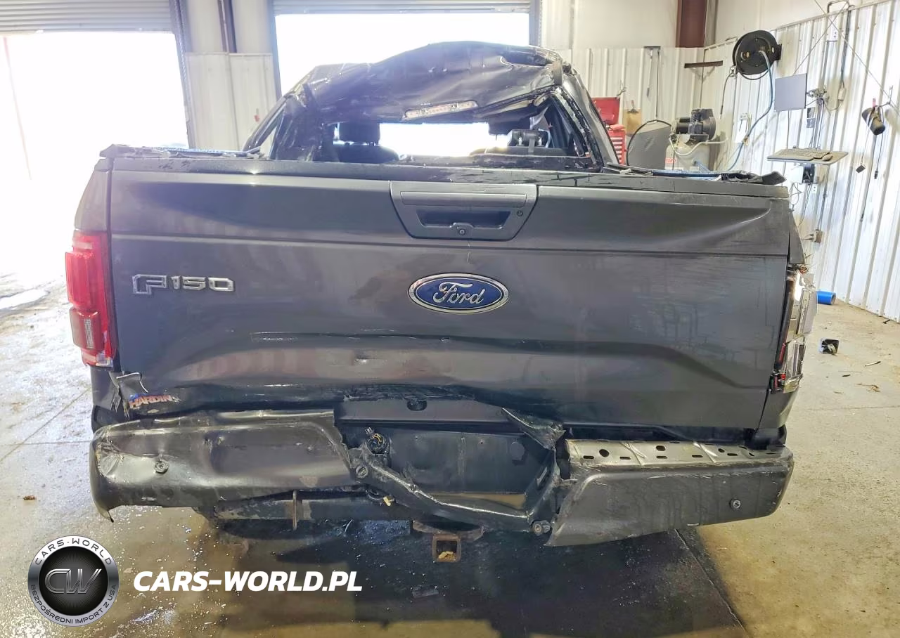 2015 Ford F150 Supercrew VIN:1FTEW1EG4FFB44253 - 6
